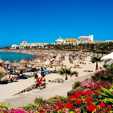 At 30 Mts From Sea Playa de las Americas (Tenerife)